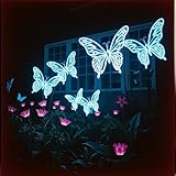 Glow in the Dark