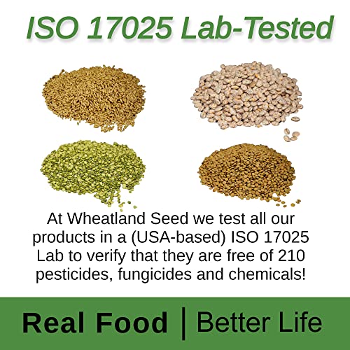 Hard Red Wheat Berries : Wheatland™ : 25 lb Bulk: Emergency Preparedness : Mylar : Oxygen Absorber : 30 Year Shelf Life : Non GMO: NO Glyphosate : Long Term Food Storage