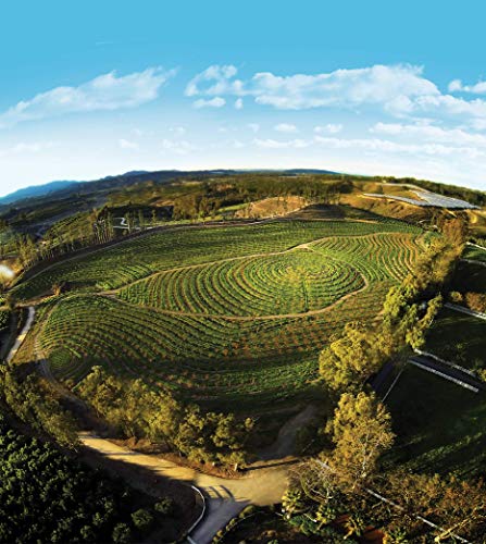 The Biggest Little Farm