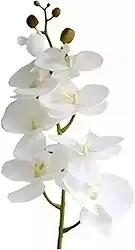 Orquídea Branca Artificial Média para Arranjo 80cm Altura Total