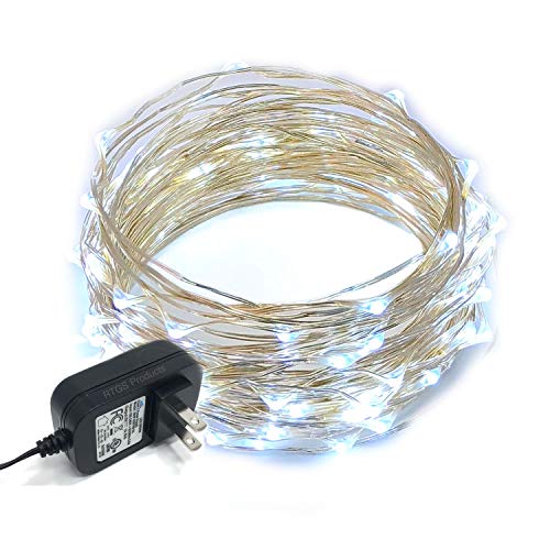 RTGS 100 LEDs String Lights Plug-in on 32 Feet Long Silver Color Wire, Indoor Outdoor Use (Cold White Color 100 LEDs 32 FEET)