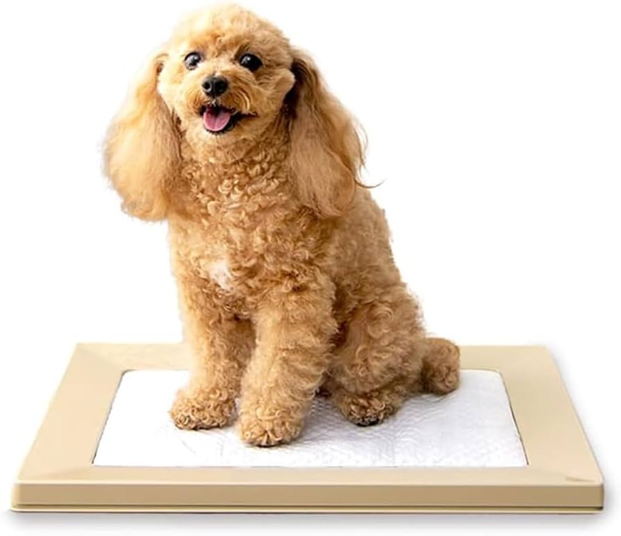 Amazon | アイリスオーヤマ(IRIS OHYAMA) 犬 トイレ スクエアドッグ
