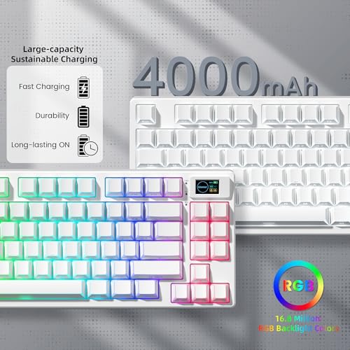 Image of Womier 75% Wireless Mechanical Keyboard with Color Multimedia Screen | PC Gaming Keyboard, 3-Modes Hot Swappable Shine Through Manga Keyboard w /Wrist Rest, Gasket RGB Custom for Mac /Win (SK80 PRO)