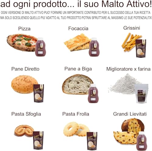 Malto Attivo, Box da 10 pezzi di Powder 1kg