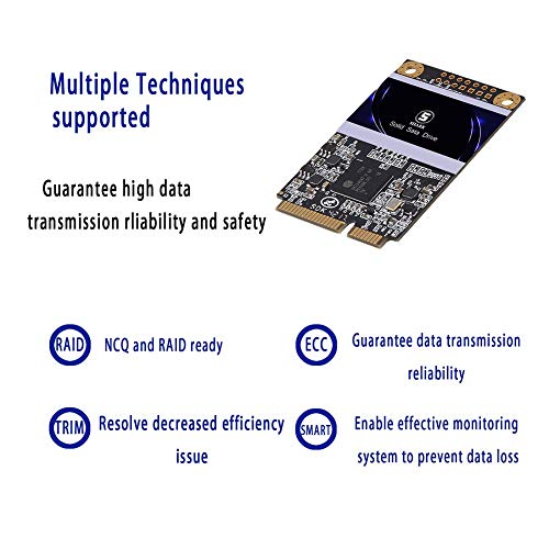 SSD mSATA 250GB Shark Interno Allo Stato Solido Drive Desktop Portatile Ad Alte Prestazioni Hard Disk 32GB 60GB 64GB 120GB 240GB 250GB 480GB 500GB (250Gb, MSATA)