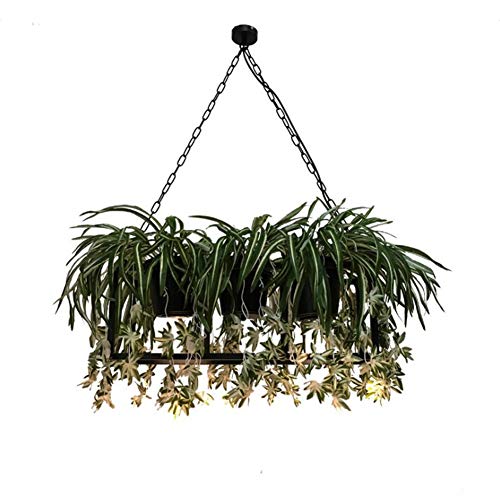 lustre Musique Repas De Plantes À Fleurs Industriel Vent Restaurant Hôtel Hôtel Club Cadre De Fer Pot De Fleur Lustre-11.19 (Edition : Plant Type)