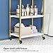 OmySalon Salon Trolley Cart with Wheels, Esthetician Cart with 1 Drawer & 2 Trays, Mobile Storage Organizer for Beauty Spa Massage Tattoo Esthetic Facial Tool Holder Station, White Gold