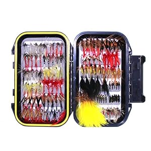 Croch Fliegen Form Angeln handgebunden Fliegen Forellen Köder Angel Imitate Kunstköder Saibling mit wasserdichte Box