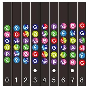 Amazon.co.jp: 琴アクセサリ - 弦楽器アクセサリ: 楽器・音響機器