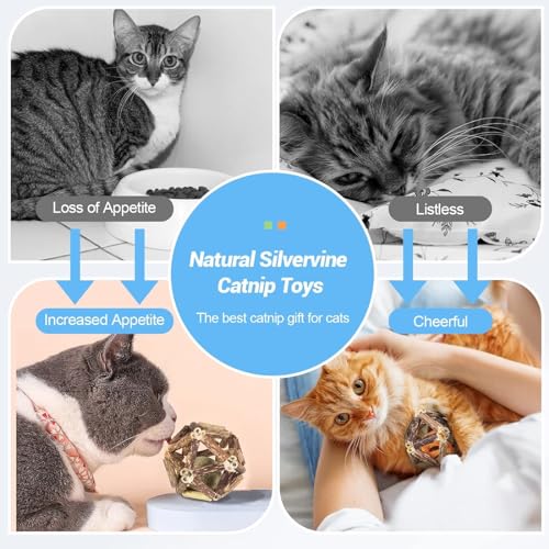 Image of cature Care by Nature Catnip Toys,Cat Toys Natural Silvervine Stick Cage Balls&Bell Ball Cat Toys For Indoor Cats,Cat Chew Toy&Kitten Cleaning Teeth Molar Tools (1Pcs)