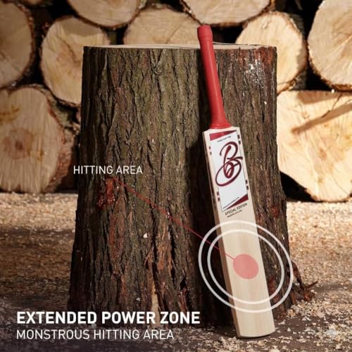 Image of Full Size English Willow Cricket Bat, Cross Weave Tape on The Face | Lightweight | Wooden Long Handle | Free Cover Play for Leather Ball (Special Edition)