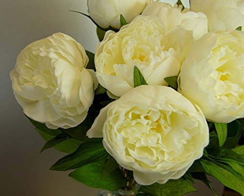 Eight Stems of Artificial Cream Peonies, Ivory - Image 2