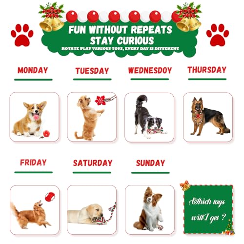 Kapetgo 10 Pack Christmas Small Dog Toys - Puppy Chew Toys with Rope & Squeaky Toys for Small & Medium Dogs - Image 3