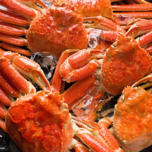 .RA Ε Mtg {CYCKjp3kgi600gO×5Zbgj  Jj I