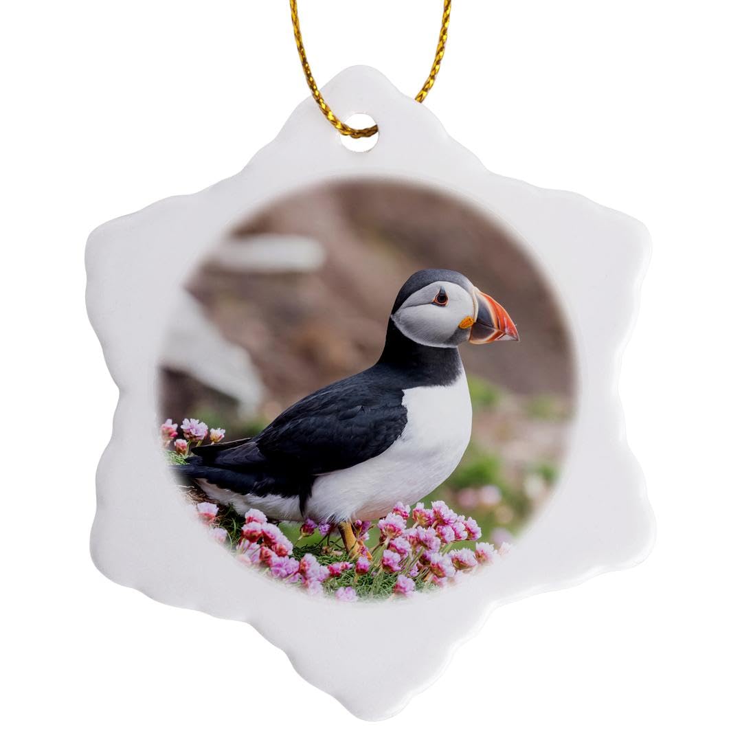 3dRose Atlantic Puffin among wildflowers. Scotland, Shetland Islands - Snowflake Ornament, 3-inch (orn_257929_1)