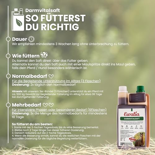 Foto von Ewalia Darmvitalsaft | 1 l | Ergänzungsfuttermittel für Pferde | Mit Schafgarbe & Pfefferminze
