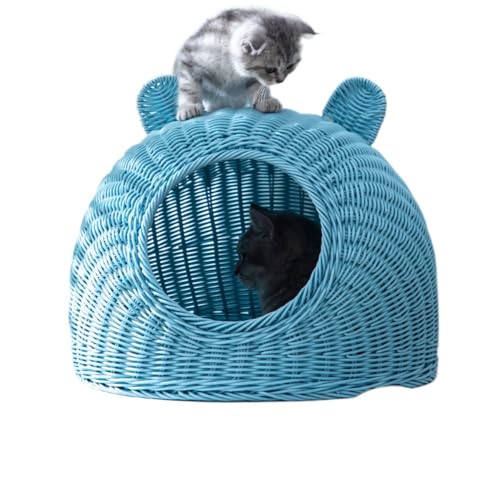 Angoda LbgnEX Lxbh L ybgnEX ٔL h[^   I[V[YΉ ې OK ʋC y lGjo[T Lp ^ (XJCu[i}bgtj,TCY)