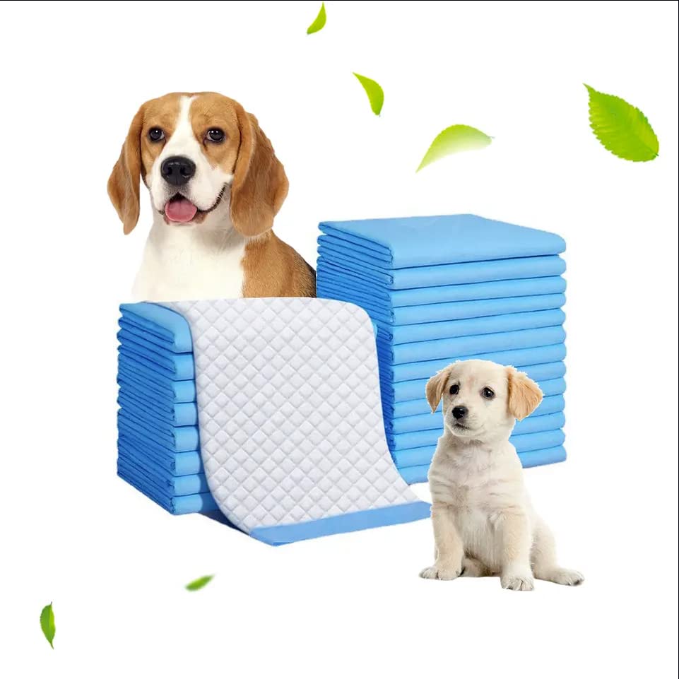 Patch & Marshall Dog & Cat Pee & Potty Training Pet Pads, Size : XL 60x90 cm, Leak Proof, Rapid Dry, for All Breeds & Sizes with Floor Sticking Tape (Premium, 75 Pieces) (B0C1JS3WQW) Amazon Price History, Amazon Price Tracker
