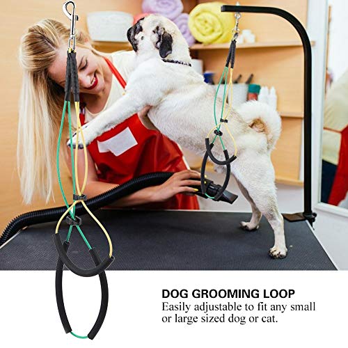 Minnya Pet No-Sit Haunch Holder Double Noose Pet