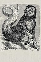 Amon Demon: Blank Lined Notebook, Journal or Diary 179822996X Book Cover