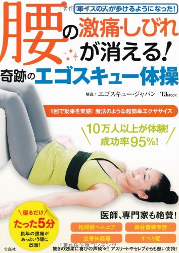 エゴスキュー体操　タワー エゴスキュータワー (腰痛対策ストレッチ用)