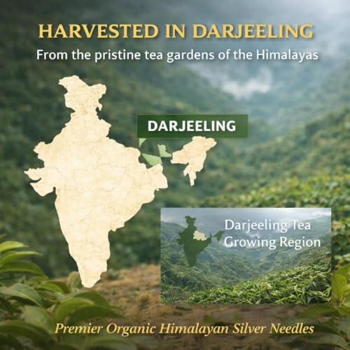 Image of Sancha Tea Boutique, Super White Tea, 25g Silver Needle White Tea Buds, Rare Loose Leaf White Tea from Darjeeling, Himalayan Harvest