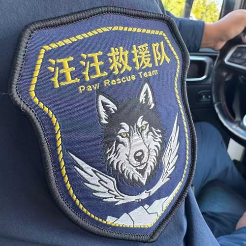 E862.汪汪队:7 年我们救出了 270 人