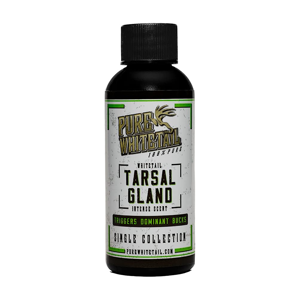 Pure Whitetail | Tarsal Gland Scent | Natural Deer Gland Scent | Mock Scrape Scent | Create a Deer Scent Drag | Make a Licking Branch for Deer | Fill Your Deer Scent Dripper | 2 oz Bottle