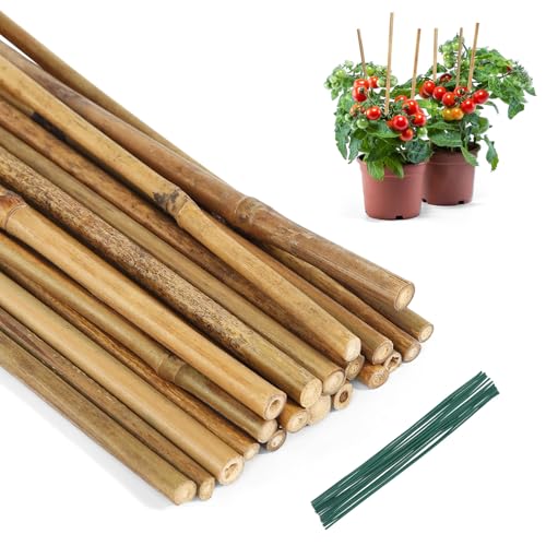 Bambusstäbe 20 Stück Pflanzstäbe Natürliche Pflanzenstab 40 cm Pflanzstab mit 20 Kabelbindern Bambus Stäbe für Topfpflanzen und Kletterpflanzen