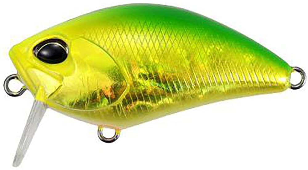 Amazon | デュオ(Duo) ﾚｱﾘｽ ｸﾗﾝｸ50SSR ｶﾌﾞｷ ADA3185 潮来ｸﾞﾘｰﾝ