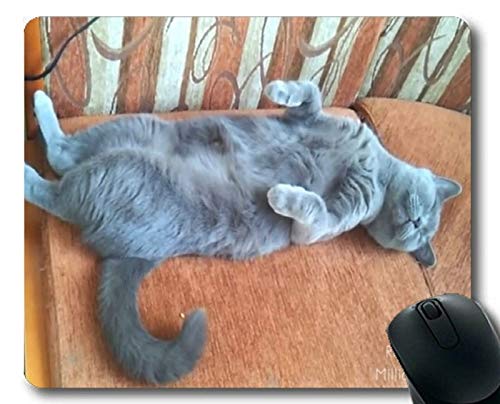 Q[~O}EX}bgA`FAX[sOLbg}EXpbhARs[^cat050p}EX}bg