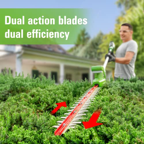 Greenworks PSPH24B210 24V 8 Inch Cordless Polesaw + 20 Inch Pole Hedge Trimmer Combo thumb #5