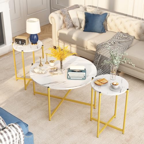 Lamerge Coffee Table Set of 3,Modern Faux Marble Top with Golden Frame,1 Coffee Table & 2 Accent...
