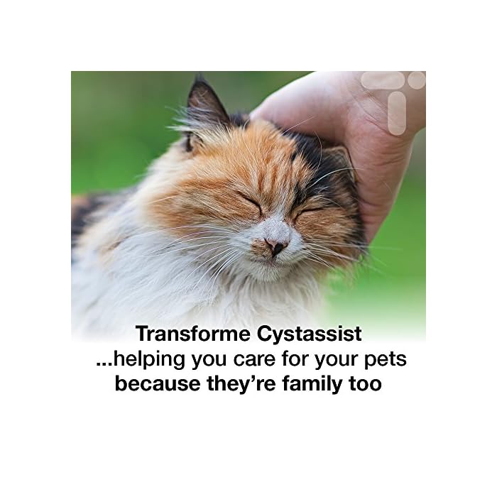 Cat Cystitis Care, Feline Urinary Tract Food Supplement Support, 180 Sprinkle On Capsules for Cats of All Ages, Cystassist by Transforme - Image 8