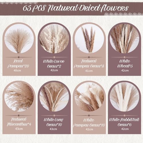 Pampas Naturale Fiori Secchi Decorativi, 65 Pezzi