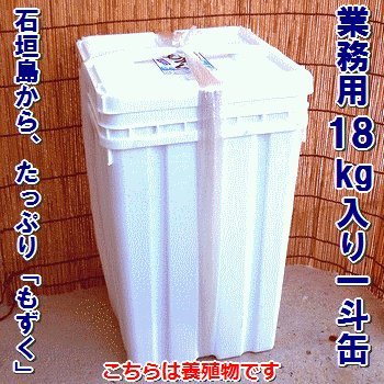 石垣島産 塩漬けもずく 一斗缶 18㎏ 石垣島産 塩漬けもずく一斗缶 18kg 野菜