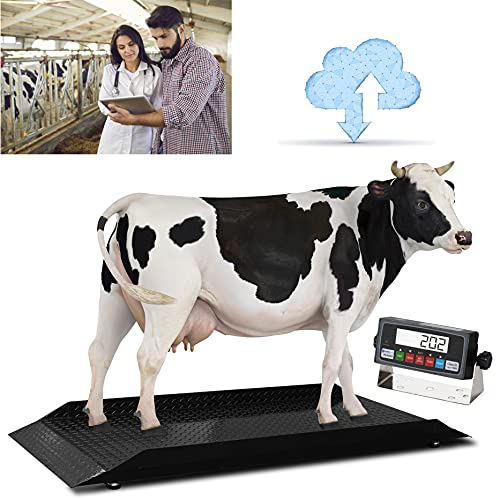 5,000 LB x 1 LB NTEP Alleyway Livestock Scale Animal Scale / Large Livestock Scale with Indicator