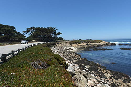 Monterey County CA 17-Mile Drive Scenic Road Photo 12x8