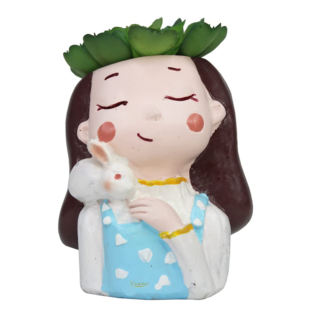 Wonderland Girl Resin Succulent Planter, planters, Flower Pot, Flower pots, Pot for Home Decor, Garden Decoration, Balcony Decoration (Standard, with Rabbit), 1 Piece (B08LNQC84N) Amazon Price History, Amazon Price Tracker