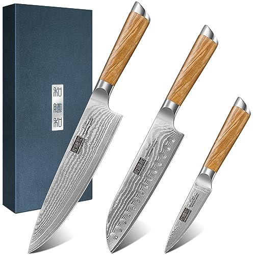 HOSHANHO Damascus Kitchen Knife Set 3-Piece, Ultra Sharp 8" Chef Knife, 7" Santoku Knife, 3.75" Paring Knife, Professional VG-10 Damascus Super Steel Cooking Knife Set with Ergonomic Handle