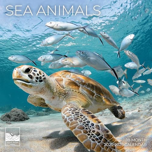 July 2025- December 2026 Sea Animals Wall Calendar