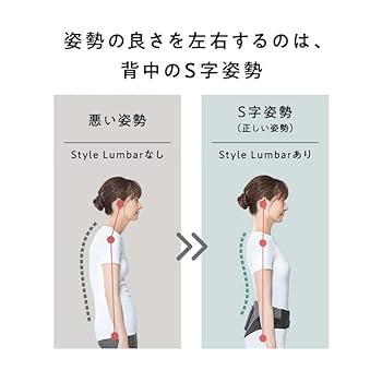 歩行と姿勢バランス 全4巻セット 510qJEbobLL._UF350,350_QL80_.jpg