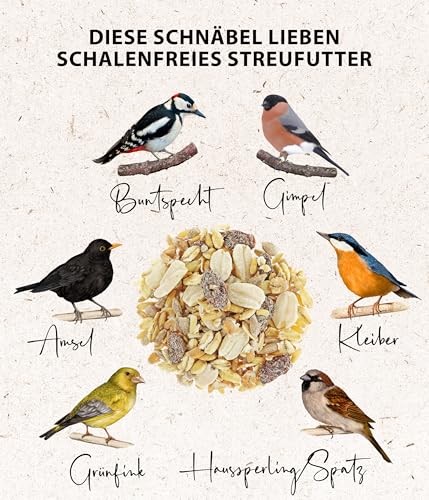 Dehner Natura Premium Wildvogelfutter, Streufutter schalenfrei, Ganzjahresfutter proteinreich / energiereich, hochwertiges Vogelfutter für Wildvögel, 3.6 kg