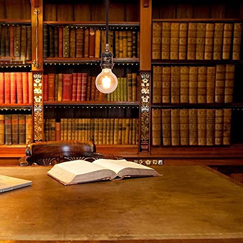 TWSXTE Applique da sospensione vintage