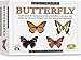 Eyewitness Kits Butterfly Casting Kit