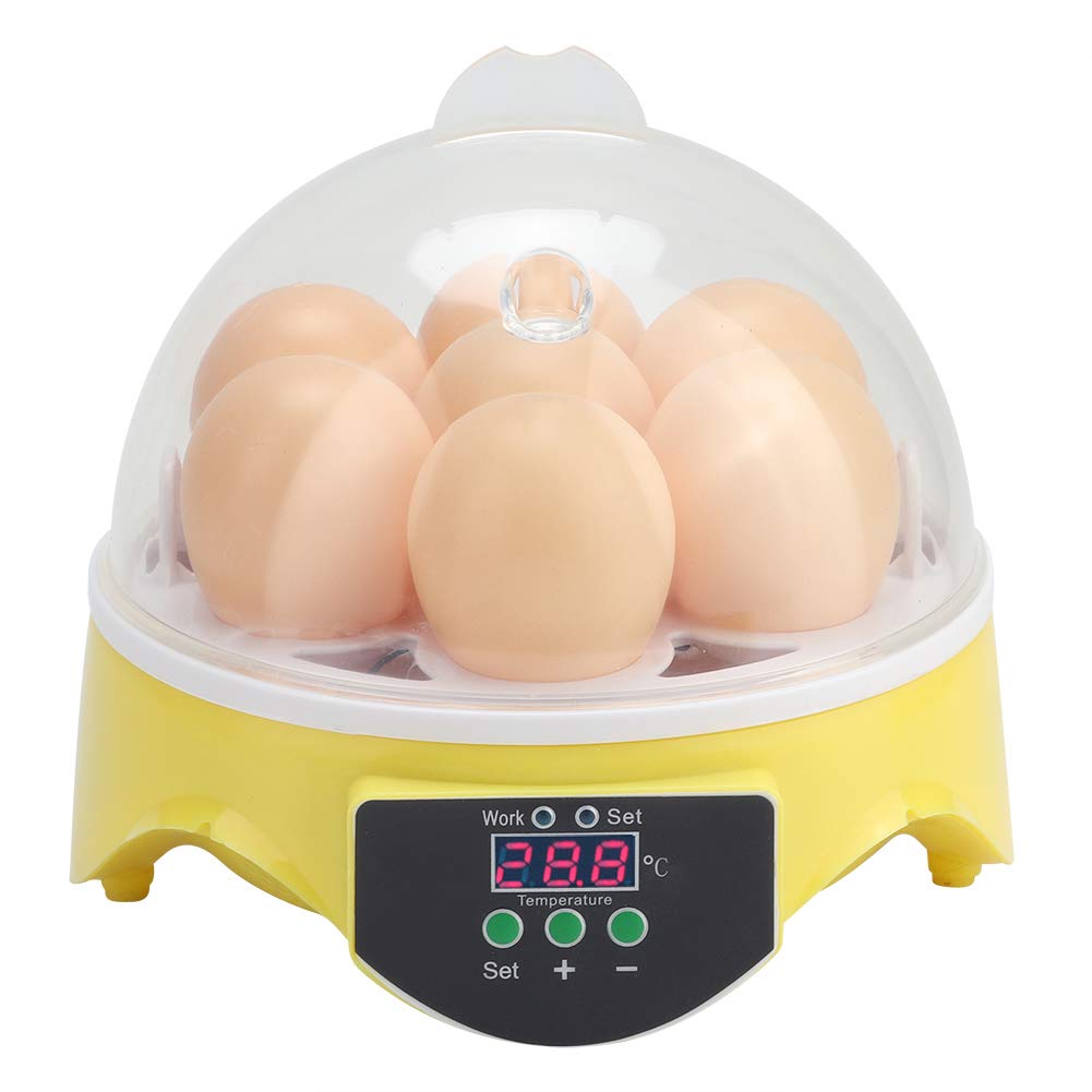 Jacksking Mini Fully Automatic Egg Incubator, 7 Eggs Intelligent Home Temperature Control Incubator for Chicken Duck Goose Quail Birds Fertile Eggs(US Plug)