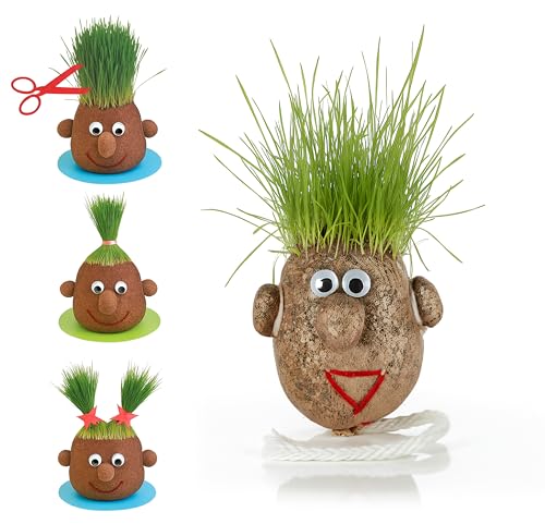 Tête d’herbe à faire pousser - Monsieur gazon, plante insolite, grasshead cheveux naturel - Décoration amusante et ludique, expérience jardinage - Petit modèle 5...