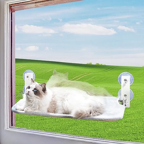 Cat Hammock Window The 15 best products compared Wild Explained