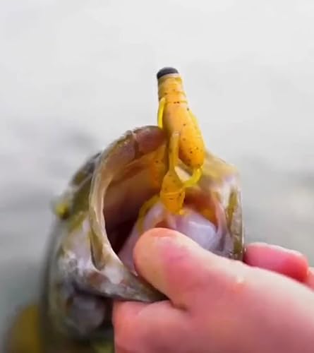 Miniatura 4 de Ned Craw - Gancho de pesca de calabaza verde de 3 pulgadas, paquete de 6