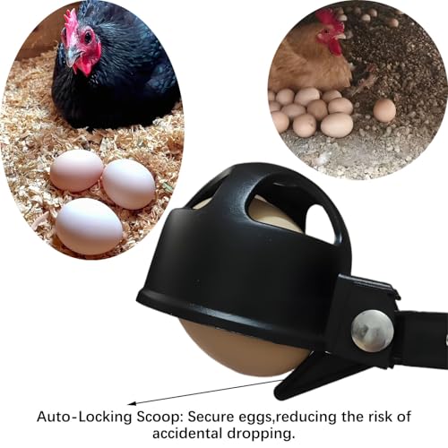 Egg Grabber Reacher Tool for Chicken Eggs Collector, Extender Reacher Grabber Pickup Tool for Chicken Coop, Farm, Poultry Nest, Chicken Coop Accessories Homesteading Essentials - Image 4
